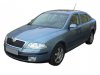 Slika 3 -  Centralna rešetka u braniku Škoda Octavia A5 2004-2008 - MojAuto