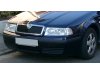 Slika 2 -  Centralna resetka u braniku Skoda Octavia A4 2000-2004 - MojAuto