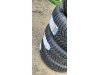 Slika 3 -  NOVE Toyo Tires M+S Zimske Gume 215 55 17 Gume - MojAuto