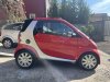 Slika 5 - Smart ForTwo 450  - MojAuto