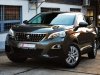 Slika 20 - Peugeot 3008 1.5BlueHdi Business   - MojAuto