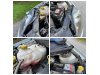 Slika 12 - Ford Fiesta 1,3b 51Kw Odlicna  - MojAuto