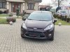 Slika 12 - Ford Fiesta 1.4 TdCi Titanium  - MojAuto